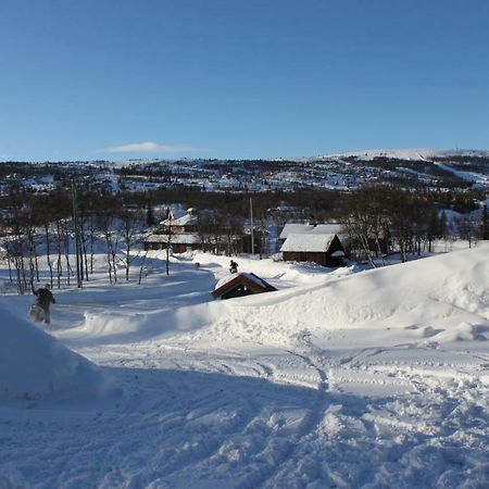 Bergfosshytta Apartment Ron Bagian luar foto
