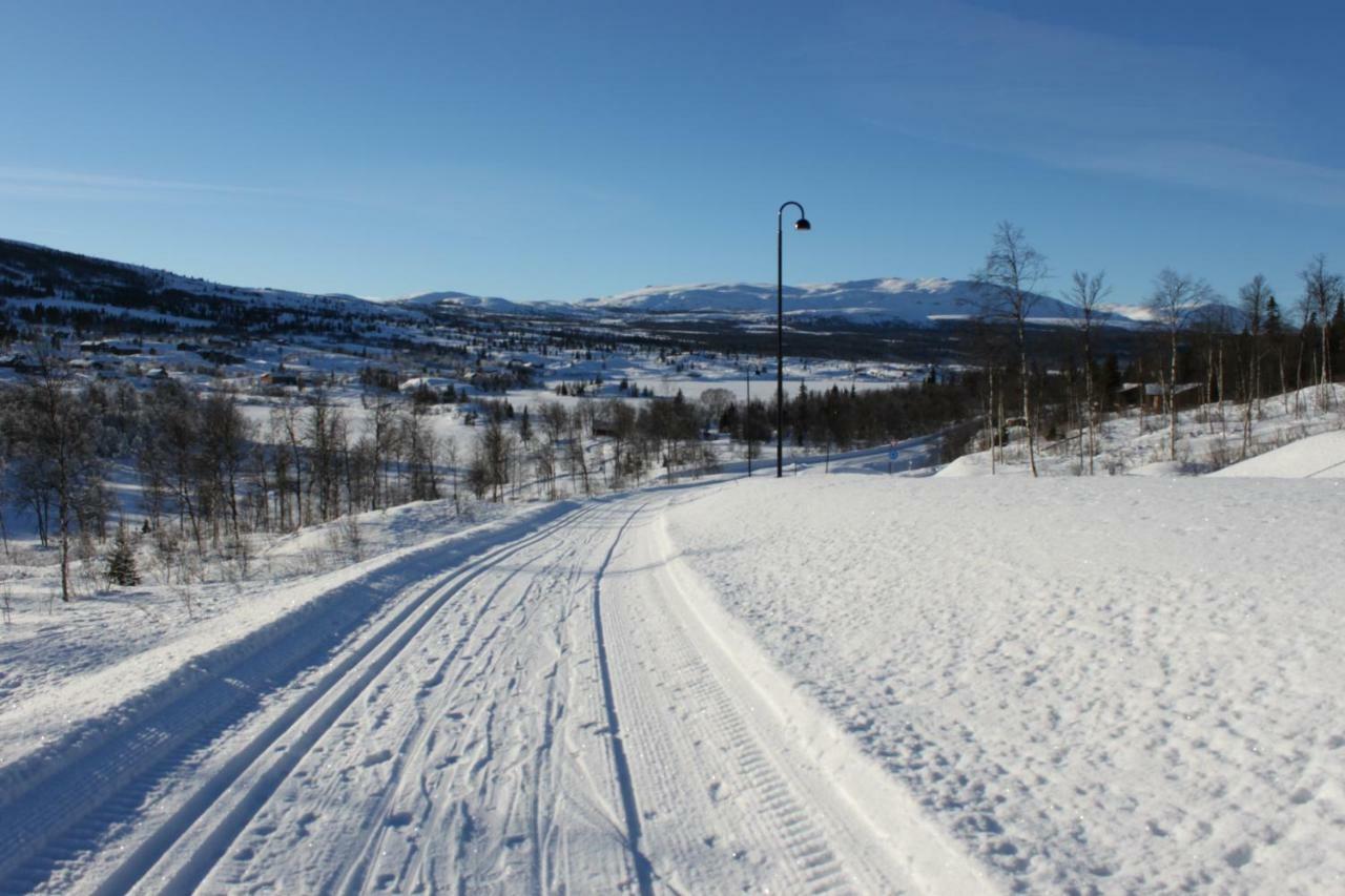 Bergfosshytta Apartment Ron Bagian luar foto