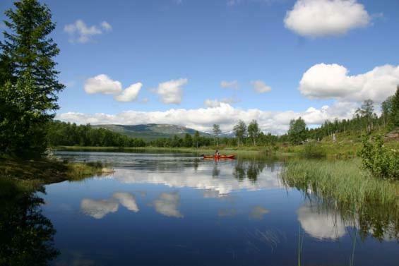 Bergfosshytta Apartment Ron Bagian luar foto
